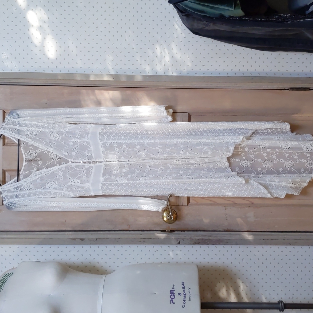 Free People Lace Over-Dress